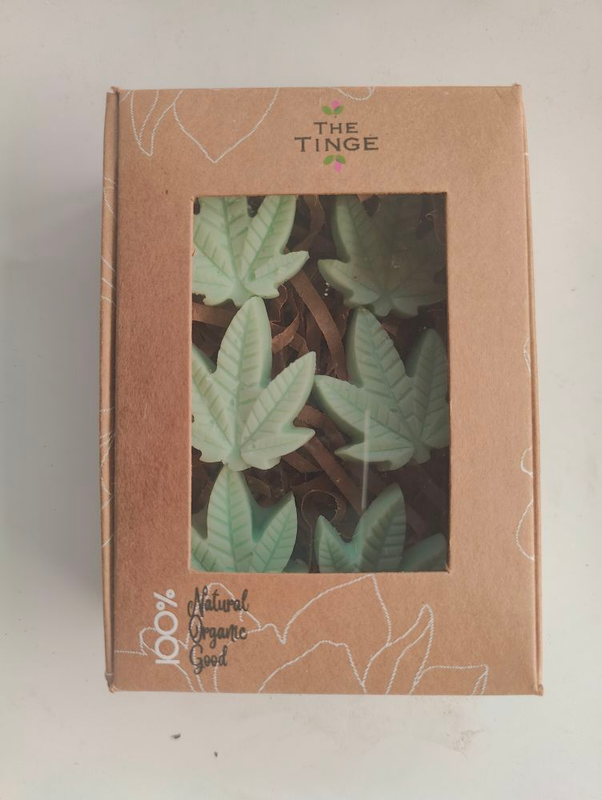 img20221113171811_404e48a3-c686-42c3-9071-493f3f6756e0-4x