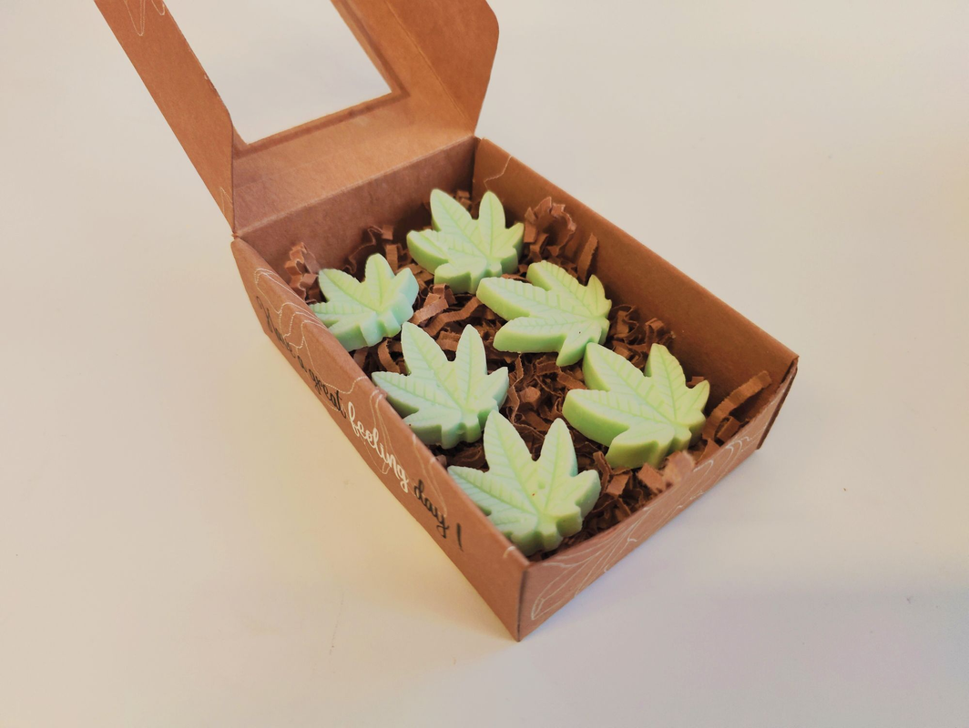 img20221127215129_0c214725-7a79-460b-8f9e-b987052edac5-4x