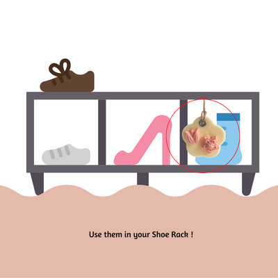 d0bf9084-495e-4759-8542-fe6ccfe699be_81b347b2-621d-4dc9-8497-e065ecdab760-4x