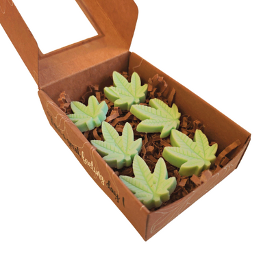 ed5995ce-c5c5-49b8-b1e6-3e9bb890e394_6ed1a4d4-9d45-4ca5-b938-72eb135ae354-4x