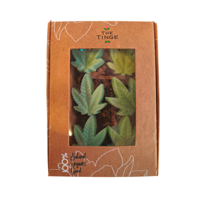 Eucalyptus Peppermint Wax Melts